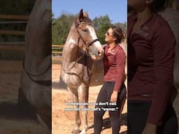 Owner, Master, or Kahu? #equestrian