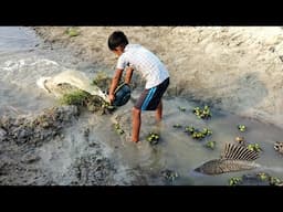 Amazing Hook Fishing Video Treditional Catching Fish By Hand in Pond Water