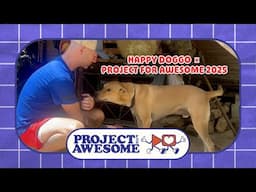 Project For Awesome 2025 | Happy Doggo