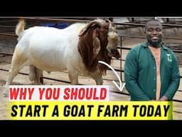 Why You Need To Start a Goat Farm In 2024