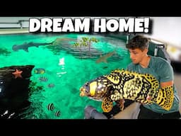 My EXOTIC FISH Get Their DREAM HOME!! *Fish Transfer*