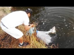 Un pescador lanza su atarraya en una poza sin imaginar la sorpresa que le espera.