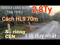 ĐẤT VƯỜN GIÁ RẺ LÀNG BƯỞI TÂN TRIỀU 1000m2 Bưởi đang bội thu giá 2,8ty bao sang tên