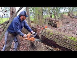 This was Rough: Road Clearing with a CHAINSAW!