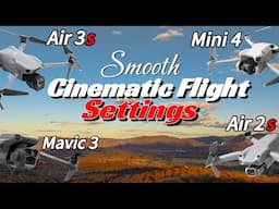 DJI Air 3s / Mini 4 / Mavic 3 Dynamic Flight Modes Setup 👀