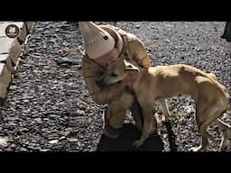 "Don't Leave Him" The girl hugged the dog and cried as she shared the dog's past