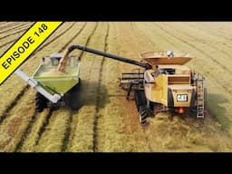 2020 California, USA Rice Harvest! | Tractor Video