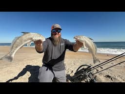 Winter Surf Fishing! These underrated fish are delicious! | Whiting | Catch Clean Cook