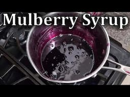 How To Make A Stunning Mulberry Syrup