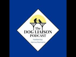 3 Wrong Beliefs About Treating Dog Separation Anxiety