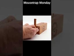 A Special Wood Box Mouse Trap.  #mousetrapmonday