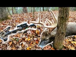 Barnett Crossbow Hunting 2024 BBD Public Land