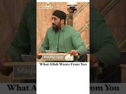 Nouman Ali Khan Reminder - What Allah Wants From You #allah  #islamicshorts #noumanalikhan #islam