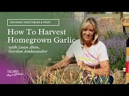 How to Harvest Homegrown Garlic