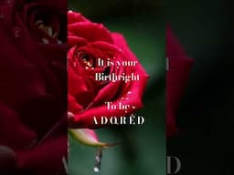 It is your birthright to be ADORED #divinefeminineenergy #dating #courtship