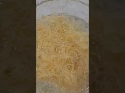 Irish Sea Moss