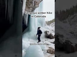 I moved from California to Colorado for hikes like this… #colorado #hike