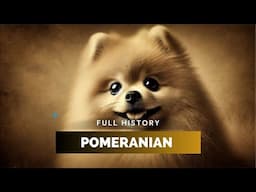 Pomeranian - Full History