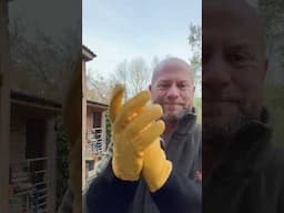 Trying these new pruning gloves on for size, follow the link in comments to purchase #gardenerben