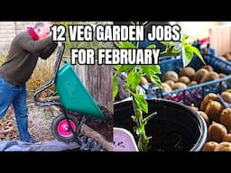 I'm Doing These 12 Veg Garden Jobs in February and You Should Too!