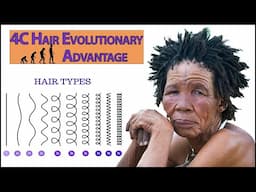 How 4C Hair Was an Evolutionary Advantage According to Science