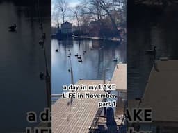 a day in my LAKE LIFE in November! #lake #lakeliving #lakelife #newenglandliving