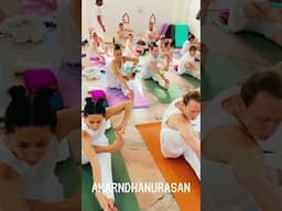 Join for 300 hour Yoga Teacher Training and Learn Akrandhanurasana and Purnmatsyendrasana!