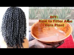 DIY: Filtering Aloe Vera Plant for African Hair Care (Wolof)