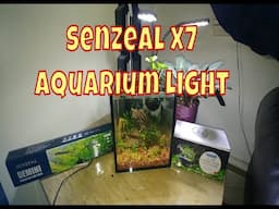 New Aquascape With the Senzeal X7 Aquarium LED Light