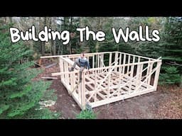 Framing and Raising The Walls For My Cabin In The Forest I Building Vlog ep. 2