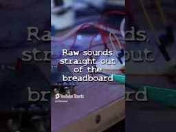 Raw circuit samples - lovely batch of bleeps and bloops #shorts