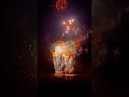 INSANE FIREWORK FINALE IN MINNESOTA #Shorts #Fireworks #Pyro