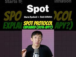 What is Spot Protocol? (20% APY?)