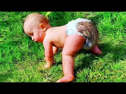 🔴 [LIVE] 30 minutes Funniest Baby Playing Outdoor Moments - Try Not To Laugh || Cool Peachy🍑