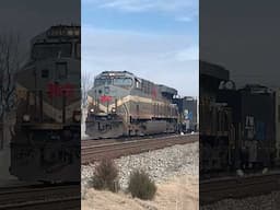 Sweet Train Horn!  Monongahela Railroad Heritage Unit, Norfolk Southern Railroad, JawTooth shorts