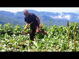 Daily Life of Remote Village People || Beautiful Activities of Mountain Village Nepal