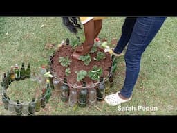 How To  Make  A Beautiful  Raised Garden Bed Using Recycled Bottles.