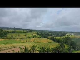 HoverAir X1Pro 4k drone footage over UNESCO Jatiluwih Rice Terraces in Ubud Bali