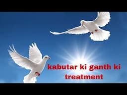 kabutar ki ganth ki treatment & uric acid