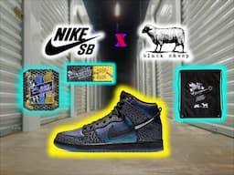 Black Sheep x Nike SB "Black Hornet" w/ Special Box | REVIEW & On Feet | Crazy Footage From Pickup!!