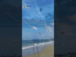 Cabarete Kite Beach Jan 2025 #shorts