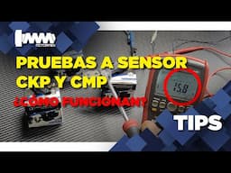 PRUEBA EN BANCO CMP/CKP HALL | MOTORMEX