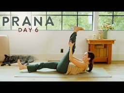 Prana - Day 6