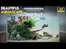 Relaxing Living Room PLANTED AQUARIUM | Plants & Fish labelled