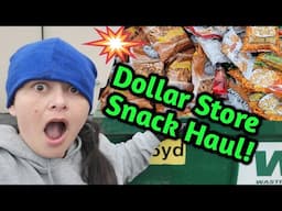 We Beat the Dump Truck! Dollar Store MASSIVE Food Snack Haul! Dumpster Diving with Frugal Mama!