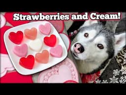 Valentine's Day Strawberry and Cream Gummy Dog Treats ❤️ DIY Dog Treats