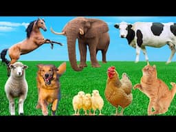 Beautiful Animal Moments - Dog, Cat, Chicken, Horse, Cow, Sheep - Animal Sounds