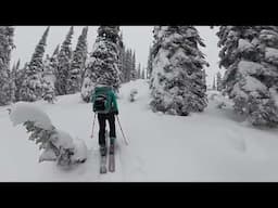 Skiing a Kootenay Pass Powday !