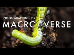 Wildlife Photography in the Macro World - Welcome to the MACROVERSE | Laowa 90mm 2X Ultra Macro