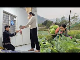 17 year old girl harvesting cabbage for sale - what did my boyfriend do?